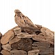 ΕΠΙΤΡΑΠΕΖΙΟ ΔΙΑΚΟΣΜΗΤΙΚΟ ΨΑΡΙ HM4271 DRIFTWOOD ΣΕ ΦΥΣΙΚΟ 40x12x40Υ εκ. ΕΠΙΤΡΑΠΕΖΙΟ ΔΙΑΚΟΣΜΗΤΙΚΟ ΨΑΡΙ HM4271 DRIFTWOOD ΣΕ ΦΥΣΙΚΟ 40x12x40Υ εκ.