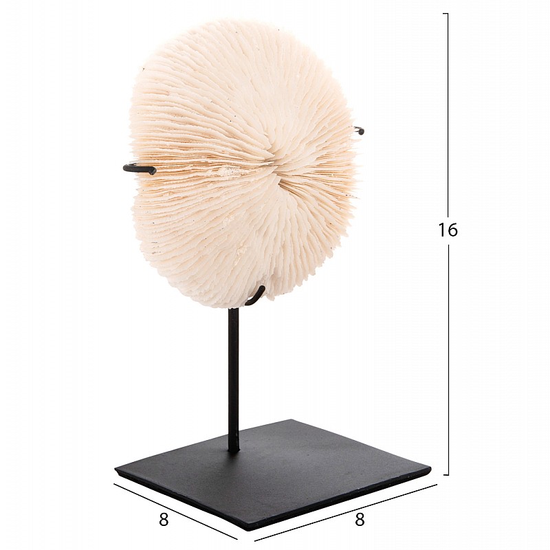 ΕΠΙΤΡΑΠΕΖΙΟ ΔΙΑΚΟΣΜΗΤΙΚΟ HM4273 ΚΟΡΑΛΙ ΣΕ ΦΥΣΙΚΟ-ΜΑΥΡΗ ΜΕΤΑΛΛΙΚΗ ΒΑΣΗ 8x8x16Υ εκ.