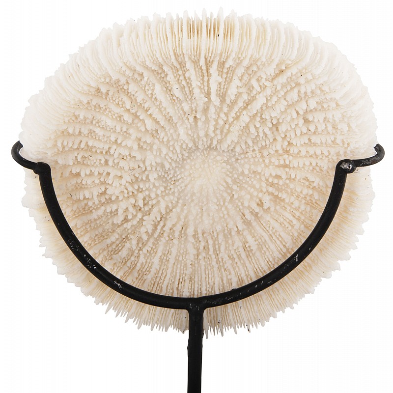 ΕΠΙΤΡΑΠΕΖΙΟ ΔΙΑΚΟΣΜΗΤΙΚΟ HM4273 ΚΟΡΑΛΙ ΣΕ ΦΥΣΙΚΟ-ΜΑΥΡΗ ΜΕΤΑΛΛΙΚΗ ΒΑΣΗ 8x8x16Υ εκ.