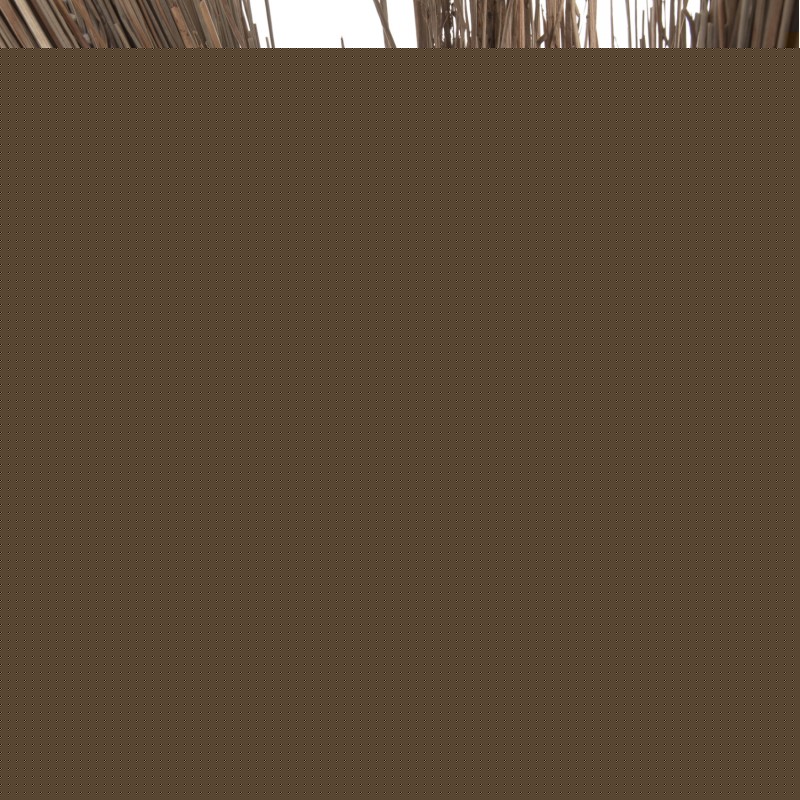 ΔΙΑΚΟΣΜΗΤΙΚΟ ΔΕΝΤΡΟ TROPIC HM4325 τ.ΦΟΙΝΙΚΑ ΑΠΟ MENDONG GRASS 210Yεκ.