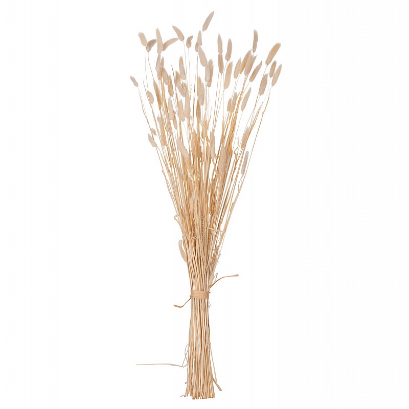 ΔΙΑΚΟΣΜΗΤΙΚΟ ΜΠΟΥΚΕΤΟ ΑΠΟΞΗΡΑΜΕΝΟ HM7959 RABBIT TAIL- CREAM 50gr 76Υεκ.