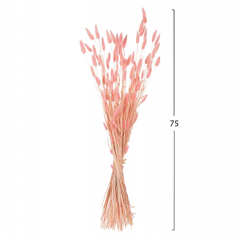 ΔΙΑΚΟΣΜΗΤΙΚΟ ΜΠΟΥΚΕΤΟ ΑΠΟΞΗΡΑΜΕΝΟ HM7960 RABBIT TAIL-PINK 75Υεκ. ΔΙΑΚΟΣΜΗΤΙΚΟ ΜΠΟΥΚΕΤΟ ΑΠΟΞΗΡΑΜΕΝΟ HM7960 RABBIT TAIL-PINK 75Υεκ.