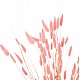 ΔΙΑΚΟΣΜΗΤΙΚΟ ΜΠΟΥΚΕΤΟ ΑΠΟΞΗΡΑΜΕΝΟ HM7960 RABBIT TAIL-PINK 75Υεκ. ΔΙΑΚΟΣΜΗΤΙΚΟ ΜΠΟΥΚΕΤΟ ΑΠΟΞΗΡΑΜΕΝΟ HM7960 RABBIT TAIL-PINK 75Υεκ.