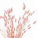 ΔΙΑΚΟΣΜΗΤΙΚΟ ΜΠΟΥΚΕΤΟ ΑΠΟΞΗΡΑΜΕΝΟ HM7960 RABBIT TAIL-PINK 75Υεκ. ΔΙΑΚΟΣΜΗΤΙΚΟ ΜΠΟΥΚΕΤΟ ΑΠΟΞΗΡΑΜΕΝΟ HM7960 RABBIT TAIL-PINK 75Υεκ.