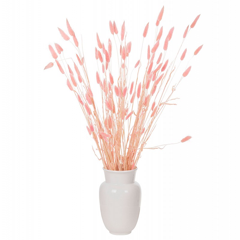 ΔΙΑΚΟΣΜΗΤΙΚΟ ΜΠΟΥΚΕΤΟ ΑΠΟΞΗΡΑΜΕΝΟ HM7960 RABBIT TAIL-PINK 75Υεκ. ΔΙΑΚΟΣΜΗΤΙΚΟ ΜΠΟΥΚΕΤΟ ΑΠΟΞΗΡΑΜΕΝΟ HM7960 RABBIT TAIL-PINK 75Υεκ.
