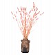 ΔΙΑΚΟΣΜΗΤΙΚΟ ΜΠΟΥΚΕΤΟ ΑΠΟΞΗΡΑΜΕΝΟ HM7960 RABBIT TAIL-PINK 75Υεκ. ΔΙΑΚΟΣΜΗΤΙΚΟ ΜΠΟΥΚΕΤΟ ΑΠΟΞΗΡΑΜΕΝΟ HM7960 RABBIT TAIL-PINK 75Υεκ.