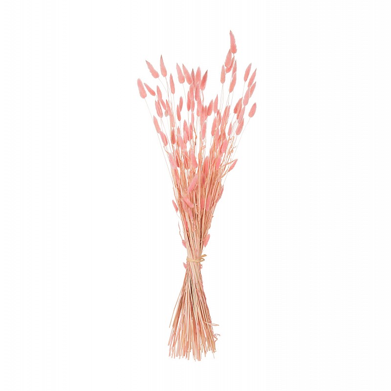ΔΙΑΚΟΣΜΗΤΙΚΟ ΜΠΟΥΚΕΤΟ ΑΠΟΞΗΡΑΜΕΝΟ HM7960 RABBIT TAIL-PINK 75Υεκ. ΔΙΑΚΟΣΜΗΤΙΚΟ ΜΠΟΥΚΕΤΟ ΑΠΟΞΗΡΑΜΕΝΟ HM7960 RABBIT TAIL-PINK 75Υεκ.