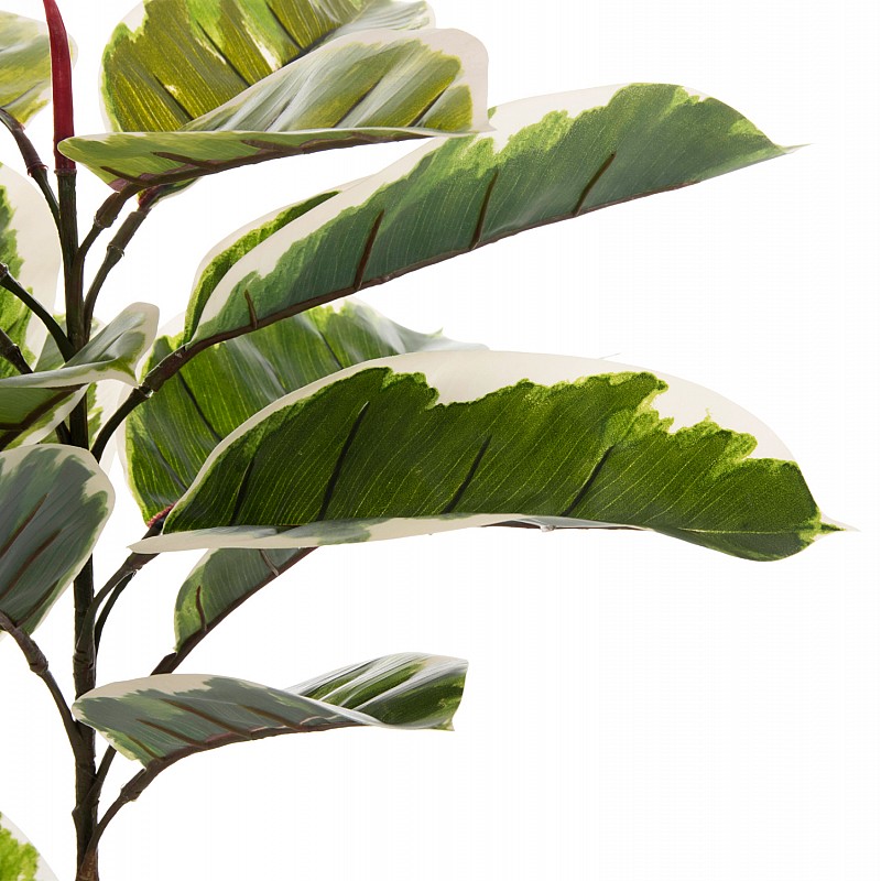 ΔΙΑΚΟΣΜΗΤΙΚΟ ΣΥΝΘΕΤΙΚΟ ΦΥΤΟ HM7972 OAK LEAF ΣΕ ΓΛΑΣΤΡΑ 85Υεκ. ΔΙΑΚΟΣΜΗΤΙΚΟ ΣΥΝΘΕΤΙΚΟ ΦΥΤΟ HM7972 OAK LEAF ΣΕ ΓΛΑΣΤΡΑ 85Υεκ.