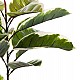 ΔΙΑΚΟΣΜΗΤΙΚΟ ΣΥΝΘΕΤΙΚΟ ΦΥΤΟ HM7972 OAK LEAF ΣΕ ΓΛΑΣΤΡΑ 85Υεκ. ΔΙΑΚΟΣΜΗΤΙΚΟ ΣΥΝΘΕΤΙΚΟ ΦΥΤΟ HM7972 OAK LEAF ΣΕ ΓΛΑΣΤΡΑ 85Υεκ.