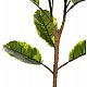 ΔΙΑΚΟΣΜΗΤΙΚΟ ΣΥΝΘΕΤΙΚΟ ΦΥΤΟ HM7972 OAK LEAF ΣΕ ΓΛΑΣΤΡΑ 85Υεκ. ΔΙΑΚΟΣΜΗΤΙΚΟ ΣΥΝΘΕΤΙΚΟ ΦΥΤΟ HM7972 OAK LEAF ΣΕ ΓΛΑΣΤΡΑ 85Υεκ.