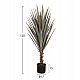 ΔΙΑΚΟΣΜΗΤΙΚΟ ΣΥΝΘΕΤΙΚΟ ΦΥΤΟ HM7987 SISAL AGAVE ΣΕ ΓΛΑΣΤΡΑ 120Υεκ. ΔΙΑΚΟΣΜΗΤΙΚΟ ΣΥΝΘΕΤΙΚΟ ΦΥΤΟ HM7987 SISAL AGAVE ΣΕ ΓΛΑΣΤΡΑ 120Υεκ.