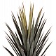 ΔΙΑΚΟΣΜΗΤΙΚΟ ΣΥΝΘΕΤΙΚΟ ΦΥΤΟ HM7987 SISAL AGAVE ΣΕ ΓΛΑΣΤΡΑ 120Υεκ. ΔΙΑΚΟΣΜΗΤΙΚΟ ΣΥΝΘΕΤΙΚΟ ΦΥΤΟ HM7987 SISAL AGAVE ΣΕ ΓΛΑΣΤΡΑ 120Υεκ.