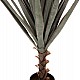 ΔΙΑΚΟΣΜΗΤΙΚΟ ΣΥΝΘΕΤΙΚΟ ΦΥΤΟ HM7987 SISAL AGAVE ΣΕ ΓΛΑΣΤΡΑ 120Υεκ. ΔΙΑΚΟΣΜΗΤΙΚΟ ΣΥΝΘΕΤΙΚΟ ΦΥΤΟ HM7987 SISAL AGAVE ΣΕ ΓΛΑΣΤΡΑ 120Υεκ.