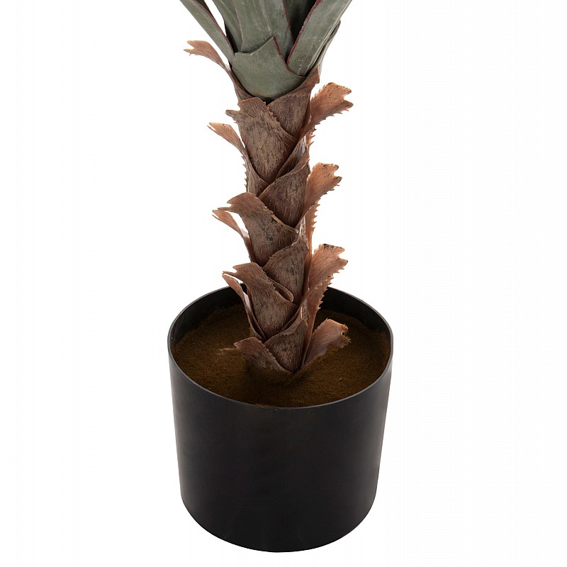 ΔΙΑΚΟΣΜΗΤΙΚΟ ΣΥΝΘΕΤΙΚΟ ΦΥΤΟ HM7987 SISAL AGAVE ΣΕ ΓΛΑΣΤΡΑ 120Υεκ. ΔΙΑΚΟΣΜΗΤΙΚΟ ΣΥΝΘΕΤΙΚΟ ΦΥΤΟ HM7987 SISAL AGAVE ΣΕ ΓΛΑΣΤΡΑ 120Υεκ.