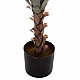 ΔΙΑΚΟΣΜΗΤΙΚΟ ΣΥΝΘΕΤΙΚΟ ΦΥΤΟ HM7987 SISAL AGAVE ΣΕ ΓΛΑΣΤΡΑ 120Υεκ. ΔΙΑΚΟΣΜΗΤΙΚΟ ΣΥΝΘΕΤΙΚΟ ΦΥΤΟ HM7987 SISAL AGAVE ΣΕ ΓΛΑΣΤΡΑ 120Υεκ.
