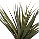 ΔΙΑΚΟΣΜΗΤΙΚΟ ΣΥΝΘΕΤΙΚΟ ΦΥΤΟ HM7989 ΔΕΝΤΡΟ SISAL ΣΕ ΓΛΑΣΤΡΑ 200Υεκ. ΔΙΑΚΟΣΜΗΤΙΚΟ ΣΥΝΘΕΤΙΚΟ ΦΥΤΟ HM7989 ΔΕΝΤΡΟ SISAL ΣΕ ΓΛΑΣΤΡΑ 200Υεκ.