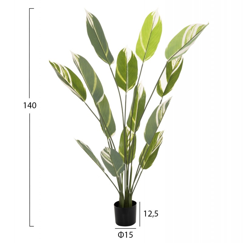 ΔΙΑΚΟΣΜΗΤΙΚΟ ΣΥΝΘΕΤΙΚΟ ΦΥΤΟ HM7997 CALATHEA ΣΕ ΓΛΑΣΤΡΑ 140Υεκ.