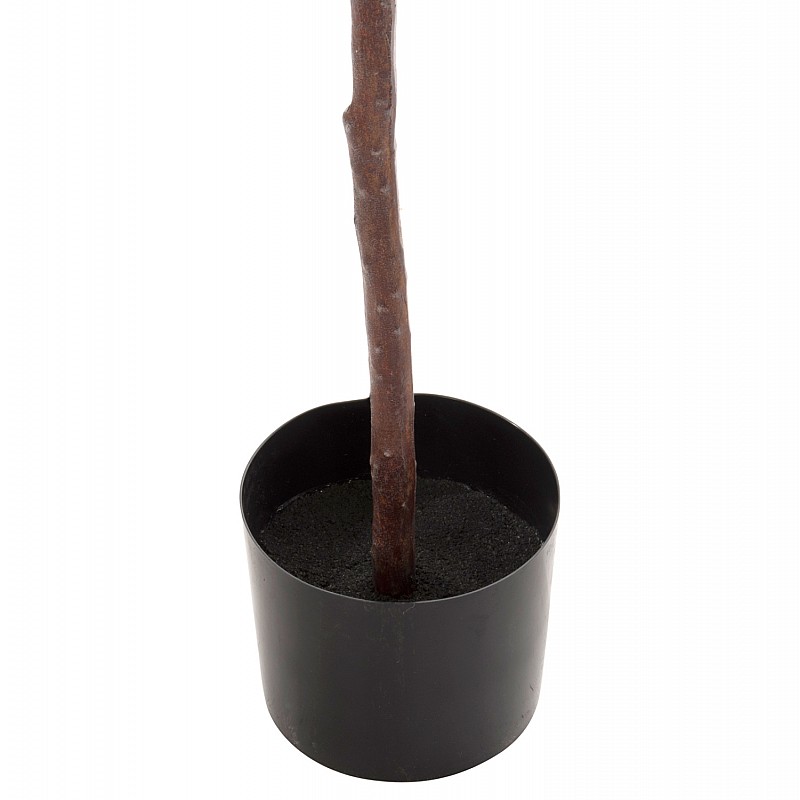 ΔΙΑΚΟΣΜΗΤΙΚΟ ΣΥΝΘΕΤΙΚΟ ΦΥΤΟ HM4000 ΔΡΥΣ ΣΕ ΓΛΑΣΤΡΑ Φ18x14,5-160Υεκ