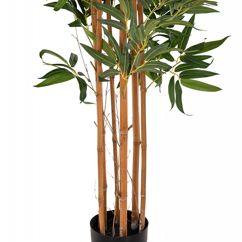 ΔΙΑΚΟΣΜΗΤΙΚΟ ΣΥΝΘΕΤΙΚΟ ΦΥΤΟ HM4003 BAMBOO ΣΕ ΓΛΑΣΤΡΑ 155Υεκ. ΔΙΑΚΟΣΜΗΤΙΚΟ ΣΥΝΘΕΤΙΚΟ ΦΥΤΟ HM4003 BAMBOO ΣΕ ΓΛΑΣΤΡΑ 155Υεκ.