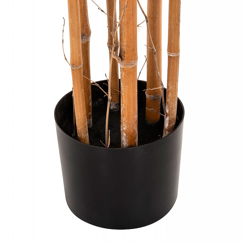 ΔΙΑΚΟΣΜΗΤΙΚΟ ΣΥΝΘΕΤΙΚΟ ΦΥΤΟ HM4003 BAMBOO ΣΕ ΓΛΑΣΤΡΑ 155Υεκ. ΔΙΑΚΟΣΜΗΤΙΚΟ ΣΥΝΘΕΤΙΚΟ ΦΥΤΟ HM4003 BAMBOO ΣΕ ΓΛΑΣΤΡΑ 155Υεκ.