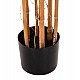 ΔΙΑΚΟΣΜΗΤΙΚΟ ΣΥΝΘΕΤΙΚΟ ΦΥΤΟ HM4003 BAMBOO ΣΕ ΓΛΑΣΤΡΑ 155Υεκ. ΔΙΑΚΟΣΜΗΤΙΚΟ ΣΥΝΘΕΤΙΚΟ ΦΥΤΟ HM4003 BAMBOO ΣΕ ΓΛΑΣΤΡΑ 155Υεκ.