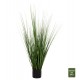 ΔΙΑΚΟΣΜΗΤΙΚΟ ΣΥΝΘΕΤΙΚΟ ΦΥΤΟ HM4013 GRASS ΣΕ ΓΛΑΣΤΡΑ Φ11,5x11,5-90Υεκ. ΔΙΑΚΟΣΜΗΤΙΚΟ ΣΥΝΘΕΤΙΚΟ ΦΥΤΟ HM4013 GRASS ΣΕ ΓΛΑΣΤΡΑ Φ11,5x11,5-90Υεκ.