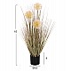 ΔΙΑΚΟΣΜΗΤΙΚΟ ΣΥΝΘΕΤΙΚΟ ΦΥΤΟ HM4016 DANDELION/GRASS ΣΕ ΓΛΑΣΤΡΑ Φ9,5x9-62Υεκ. ΔΙΑΚΟΣΜΗΤΙΚΟ ΣΥΝΘΕΤΙΚΟ ΦΥΤΟ HM4016 DANDELION/GRASS ΣΕ ΓΛΑΣΤΡΑ Φ9,5x9-62Υεκ.