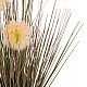 ΔΙΑΚΟΣΜΗΤΙΚΟ ΣΥΝΘΕΤΙΚΟ ΦΥΤΟ HM4016 DANDELION/GRASS ΣΕ ΓΛΑΣΤΡΑ Φ9,5x9-62Υεκ. ΔΙΑΚΟΣΜΗΤΙΚΟ ΣΥΝΘΕΤΙΚΟ ΦΥΤΟ HM4016 DANDELION/GRASS ΣΕ ΓΛΑΣΤΡΑ Φ9,5x9-62Υεκ.