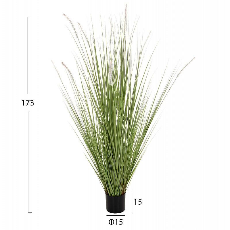 ΔΙΑΚΟΣΜΗΤΙΚΟ ΣΥΝΘΕΤΙΚΟ ΦΥΤΟ HM4017 BRISTLEGRASS ΣΕ ΓΛΑΣΤΡΑ 173Υεκ. ΔΙΑΚΟΣΜΗΤΙΚΟ ΣΥΝΘΕΤΙΚΟ ΦΥΤΟ HM4017 BRISTLEGRASS ΣΕ ΓΛΑΣΤΡΑ 173Υεκ.