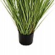 ΔΙΑΚΟΣΜΗΤΙΚΟ ΣΥΝΘΕΤΙΚΟ ΦΥΤΟ HM4017 BRISTLEGRASS ΣΕ ΓΛΑΣΤΡΑ 173Υεκ. ΔΙΑΚΟΣΜΗΤΙΚΟ ΣΥΝΘΕΤΙΚΟ ΦΥΤΟ HM4017 BRISTLEGRASS ΣΕ ΓΛΑΣΤΡΑ 173Υεκ.