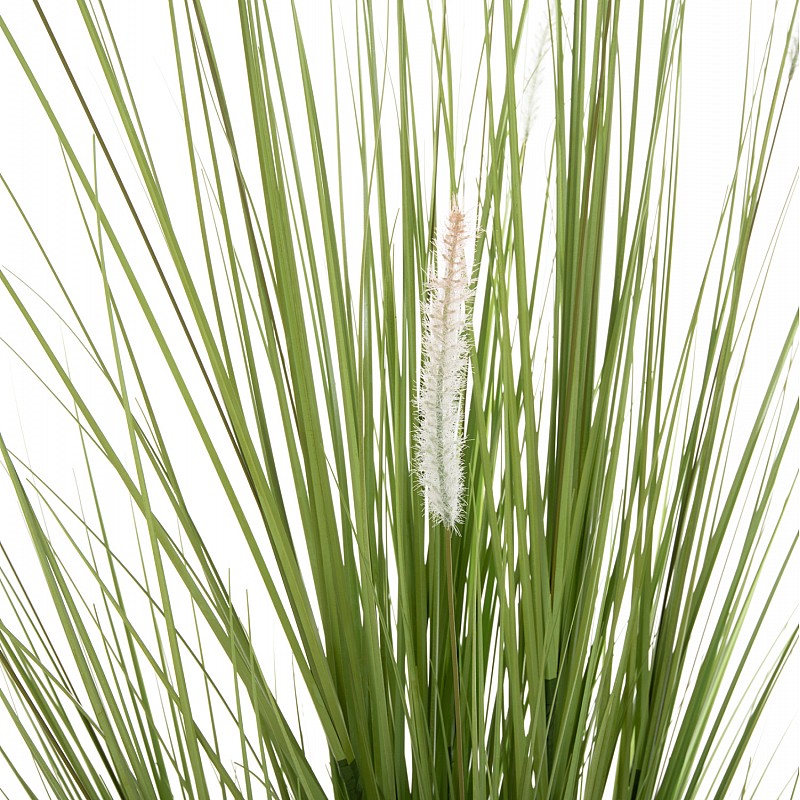 ΔΙΑΚΟΣΜΗΤΙΚΟ ΣΥΝΘΕΤΙΚΟ ΦΥΤΟ HM4017 BRISTLEGRASS ΣΕ ΓΛΑΣΤΡΑ 173Υεκ. ΔΙΑΚΟΣΜΗΤΙΚΟ ΣΥΝΘΕΤΙΚΟ ΦΥΤΟ HM4017 BRISTLEGRASS ΣΕ ΓΛΑΣΤΡΑ 173Υεκ.