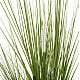 ΔΙΑΚΟΣΜΗΤΙΚΟ ΣΥΝΘΕΤΙΚΟ ΦΥΤΟ HM4017 BRISTLEGRASS ΣΕ ΓΛΑΣΤΡΑ 173Υεκ. ΔΙΑΚΟΣΜΗΤΙΚΟ ΣΥΝΘΕΤΙΚΟ ΦΥΤΟ HM4017 BRISTLEGRASS ΣΕ ΓΛΑΣΤΡΑ 173Υεκ.