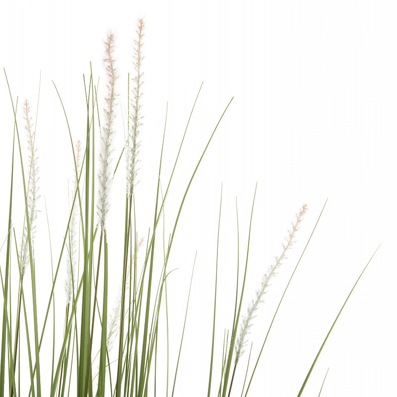 ΔΙΑΚΟΣΜΗΤΙΚΟ ΣΥΝΘΕΤΙΚΟ ΦΥΤΟ HM4017 BRISTLEGRASS ΣΕ ΓΛΑΣΤΡΑ 173Υεκ. ΔΙΑΚΟΣΜΗΤΙΚΟ ΣΥΝΘΕΤΙΚΟ ΦΥΤΟ HM4017 BRISTLEGRASS ΣΕ ΓΛΑΣΤΡΑ 173Υεκ.