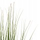 ΔΙΑΚΟΣΜΗΤΙΚΟ ΣΥΝΘΕΤΙΚΟ ΦΥΤΟ HM4017 BRISTLEGRASS ΣΕ ΓΛΑΣΤΡΑ 173Υεκ. ΔΙΑΚΟΣΜΗΤΙΚΟ ΣΥΝΘΕΤΙΚΟ ΦΥΤΟ HM4017 BRISTLEGRASS ΣΕ ΓΛΑΣΤΡΑ 173Υεκ.