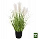 ΔΙΑΚΟΣΜΗΤΙΚΟ ΣΥΝΘΕΤΙΚΟ ΦΥΤΟ HM4025 GRASS ΣΕ ΓΛΑΣΤΡΑ 89Υεκ. ΔΙΑΚΟΣΜΗΤΙΚΟ ΣΥΝΘΕΤΙΚΟ ΦΥΤΟ HM4025 GRASS ΣΕ ΓΛΑΣΤΡΑ 89Υεκ.