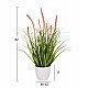 ΔΙΑΚΟΣΜΗΤΙΚΟ ΣΥΝΘΕΤΙΚΟ ΦΥΤΟ HM4029 BRISTLEGRASS ΣΕ ΓΛΑΣΤΡΑ Φ14,5x13-62Yεκ. ΔΙΑΚΟΣΜΗΤΙΚΟ ΣΥΝΘΕΤΙΚΟ ΦΥΤΟ HM4029 BRISTLEGRASS ΣΕ ΓΛΑΣΤΡΑ Φ14,5x13-62Yεκ.