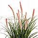 ΔΙΑΚΟΣΜΗΤΙΚΟ ΣΥΝΘΕΤΙΚΟ ΦΥΤΟ HM4029 BRISTLEGRASS ΣΕ ΓΛΑΣΤΡΑ Φ14,5x13-62Yεκ. ΔΙΑΚΟΣΜΗΤΙΚΟ ΣΥΝΘΕΤΙΚΟ ΦΥΤΟ HM4029 BRISTLEGRASS ΣΕ ΓΛΑΣΤΡΑ Φ14,5x13-62Yεκ.
