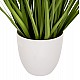 ΔΙΑΚΟΣΜΗΤΙΚΟ ΣΥΝΘΕΤΙΚΟ ΦΥΤΟ HM4029 BRISTLEGRASS ΣΕ ΓΛΑΣΤΡΑ Φ14,5x13-62Yεκ. ΔΙΑΚΟΣΜΗΤΙΚΟ ΣΥΝΘΕΤΙΚΟ ΦΥΤΟ HM4029 BRISTLEGRASS ΣΕ ΓΛΑΣΤΡΑ Φ14,5x13-62Yεκ.