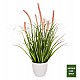ΔΙΑΚΟΣΜΗΤΙΚΟ ΣΥΝΘΕΤΙΚΟ ΦΥΤΟ HM4029 BRISTLEGRASS ΣΕ ΓΛΑΣΤΡΑ Φ14,5x13-62Yεκ. ΔΙΑΚΟΣΜΗΤΙΚΟ ΣΥΝΘΕΤΙΚΟ ΦΥΤΟ HM4029 BRISTLEGRASS ΣΕ ΓΛΑΣΤΡΑ Φ14,5x13-62Yεκ.