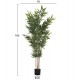 ΔΙΑΚΟΣΜΗΤΙΚΟ ΣΥΝΘΕΤΙΚΟ ΦΥΤΟ HM4736 BAMBOO ΣΕ ΓΛΑΣΤΡΑ 20x95x180Υεκ. ΔΙΑΚΟΣΜΗΤΙΚΟ ΣΥΝΘΕΤΙΚΟ ΦΥΤΟ HM4736 BAMBOO ΣΕ ΓΛΑΣΤΡΑ 20x95x180Υεκ.