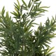 ΔΙΑΚΟΣΜΗΤΙΚΟ ΣΥΝΘΕΤΙΚΟ ΦΥΤΟ HM4736 BAMBOO ΣΕ ΓΛΑΣΤΡΑ 20x95x180Υεκ. ΔΙΑΚΟΣΜΗΤΙΚΟ ΣΥΝΘΕΤΙΚΟ ΦΥΤΟ HM4736 BAMBOO ΣΕ ΓΛΑΣΤΡΑ 20x95x180Υεκ.