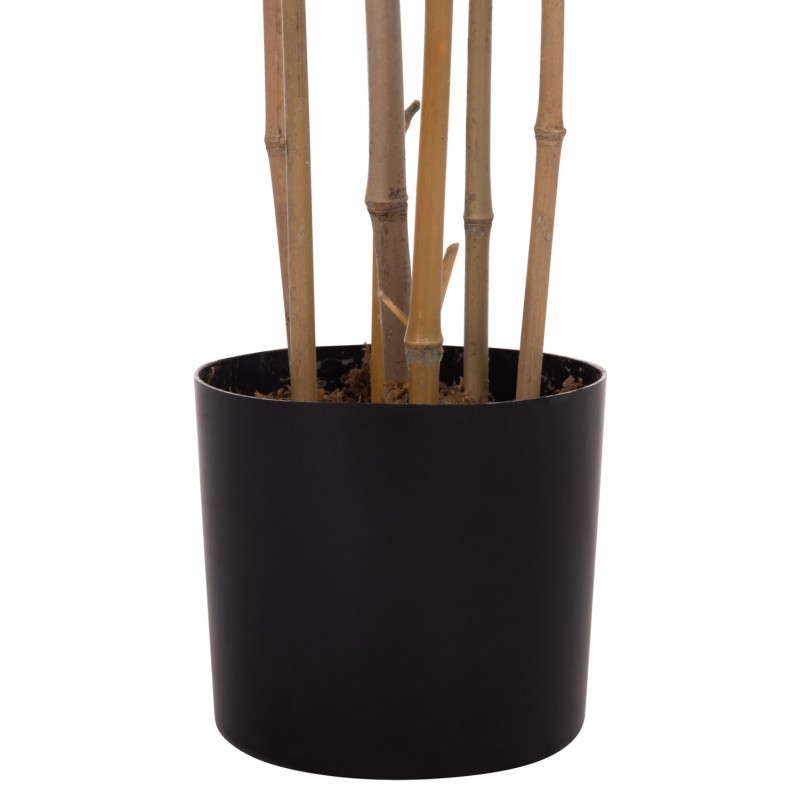 ΔΙΑΚΟΣΜΗΤΙΚΟ ΣΥΝΘΕΤΙΚΟ ΦΥΤΟ HM4736 BAMBOO ΣΕ ΓΛΑΣΤΡΑ 20x95x180Υεκ. ΔΙΑΚΟΣΜΗΤΙΚΟ ΣΥΝΘΕΤΙΚΟ ΦΥΤΟ HM4736 BAMBOO ΣΕ ΓΛΑΣΤΡΑ 20x95x180Υεκ.