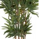 ΔΙΑΚΟΣΜΗΤΙΚΟ ΣΥΝΘΕΤΙΚΟ ΦΥΤΟ HM4736 BAMBOO ΣΕ ΓΛΑΣΤΡΑ 20x95x180Υεκ. ΔΙΑΚΟΣΜΗΤΙΚΟ ΣΥΝΘΕΤΙΚΟ ΦΥΤΟ HM4736 BAMBOO ΣΕ ΓΛΑΣΤΡΑ 20x95x180Υεκ.