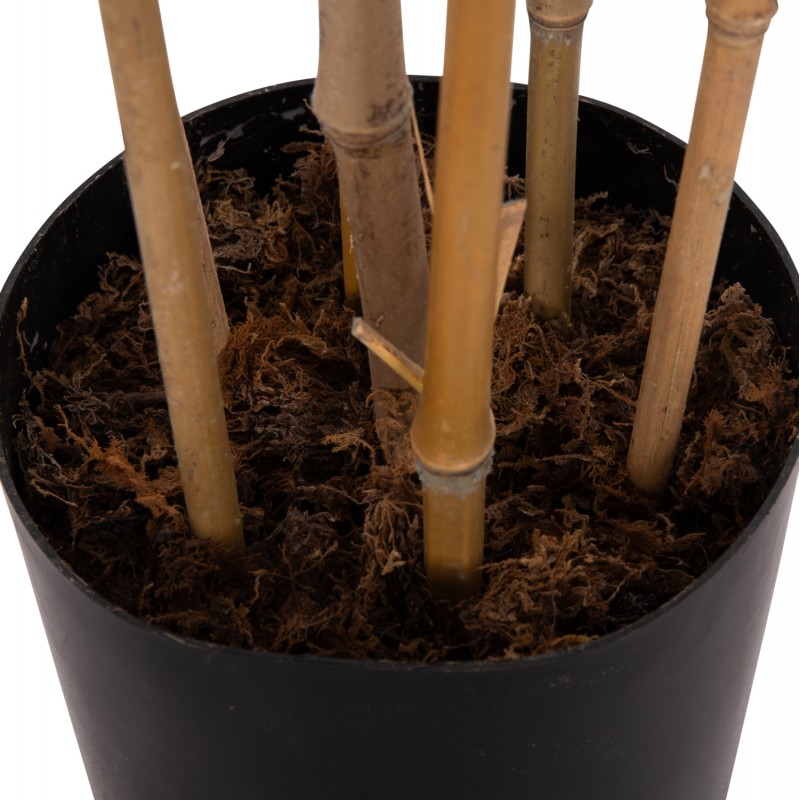 ΔΙΑΚΟΣΜΗΤΙΚΟ ΣΥΝΘΕΤΙΚΟ ΦΥΤΟ HM4736 BAMBOO ΣΕ ΓΛΑΣΤΡΑ 20x95x180Υεκ. ΔΙΑΚΟΣΜΗΤΙΚΟ ΣΥΝΘΕΤΙΚΟ ΦΥΤΟ HM4736 BAMBOO ΣΕ ΓΛΑΣΤΡΑ 20x95x180Υεκ.