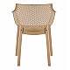 ΠΟΛΥΘΡΟΝΑ ΠΟΛΥΠΡΟΠΥΛΕΝΙΟΥ PEGGY HM6368.03 CAPPUCCINO 60x55x79Υεκ ΠΟΛΥΘΡΟΝΑ ΠΟΛΥΠΡΟΠΥΛΕΝΙΟΥ PEGGY HM6368.03 CAPPUCCINO 60x55x79Υεκ