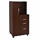 ΝΤΟΥΛΑΠΙ ΓΡΑΦΕΙΟΥ ΕΠΑΓΓΕΛΜΑΤΙΚΟ WENGE HM2052.02L 60x46x120 ΝΤΟΥΛΑΠΙ ΓΡΑΦΕΙΟΥ ΕΠΑΓΓΕΛΜΑΤΙΚΟ WENGE HM2052.02L 60x46x120