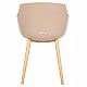ΚΑΡΕΚΛΑ ΤΡΑΠΕΖΑΡΙΑΣ LUCIE HM8242.11 CAPUCCINO PP-ΜΕΤΑΛ. ΠΟΔΙΑ ΟΨΗ ΞΥΛΟΥ 56x55,5x80Υεκ ΚΑΡΕΚΛΑ ΤΡΑΠΕΖΑΡΙΑΣ LUCIE HM8242.11 CAPUCCINO PP-ΜΕΤΑΛ. ΠΟΔΙΑ ΟΨΗ ΞΥΛΟΥ 56x55,5x80Υεκ