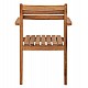 ΠΟΛΥΘΡΟΝΑ ERIETTA ΞΥΛΟ TEAK ΣΤΟΙΒΑΖΟΜΕΝΗ HM9534 ΣΕ ΦΥΣΙΚΟ ΧΡΩΜΑ 60x54x87Y εκ.