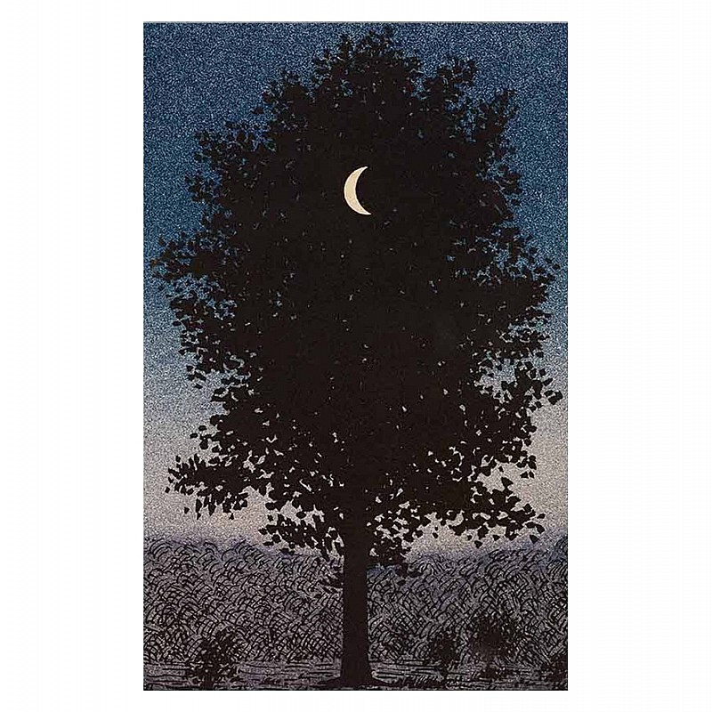 ΠΙΝΑΚΑΣ TOIXOY ΣΕΙΡΑ GOBI HM4850 ΕΚΤΥΠΩΜΕΝΟΣ ΚΑΜΒΑΣ 45x3(πάχος)x70Yεκ.