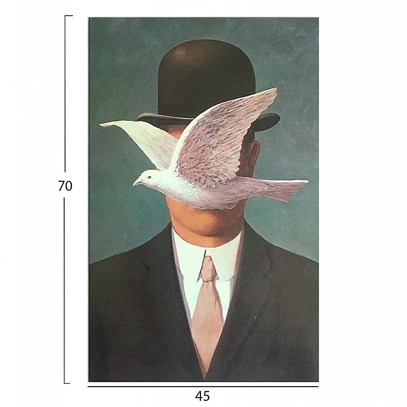 ΠΙΝΑΚΑΣ TOIXOY ΣΕΙΡΑ GOBI HM4852 ΕΚΤΥΠΩΜΕΝΟΣ ΚΑΜΒΑΣ 45x3(πάχος)x70Yεκ.